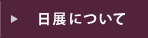 日展について